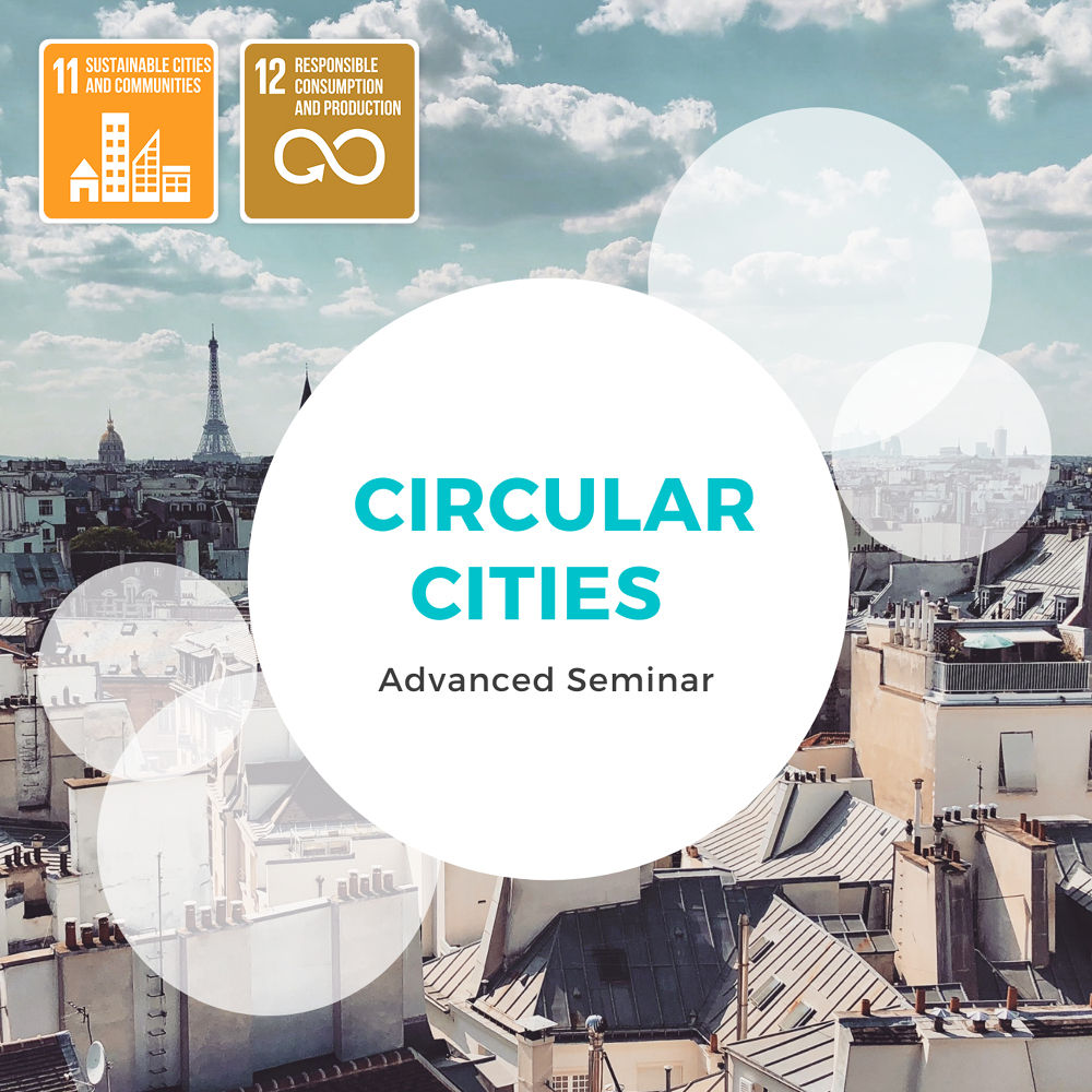 White cicles with the text "circular cities advanced seminar" with the city of Paris in the background